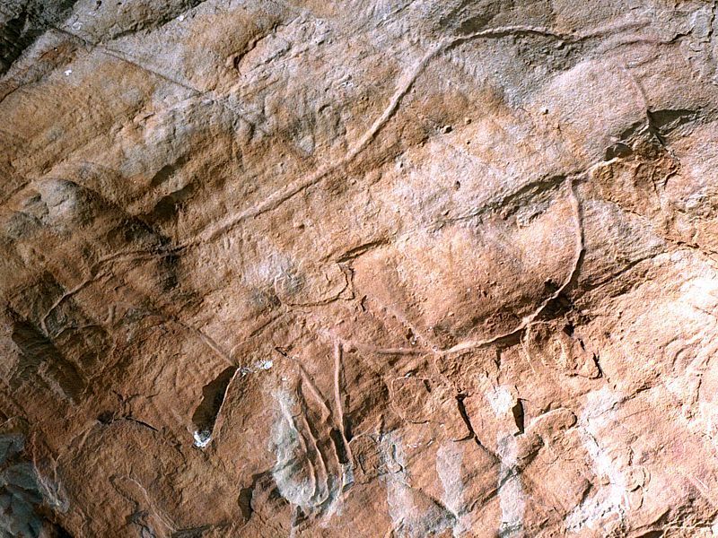 Rutas arqueológicas cerca de Zahara